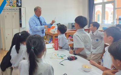 STEAM Day Sparks a Fruitful Time for Year 1–3 Students