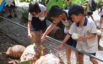 Year 4 explored living things and their habitats on a nature walk in Hatyai park